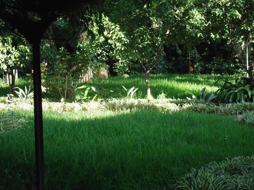 B&B Cottage Dei Consoli Sant'Agata Li Battiati Buitenkant foto